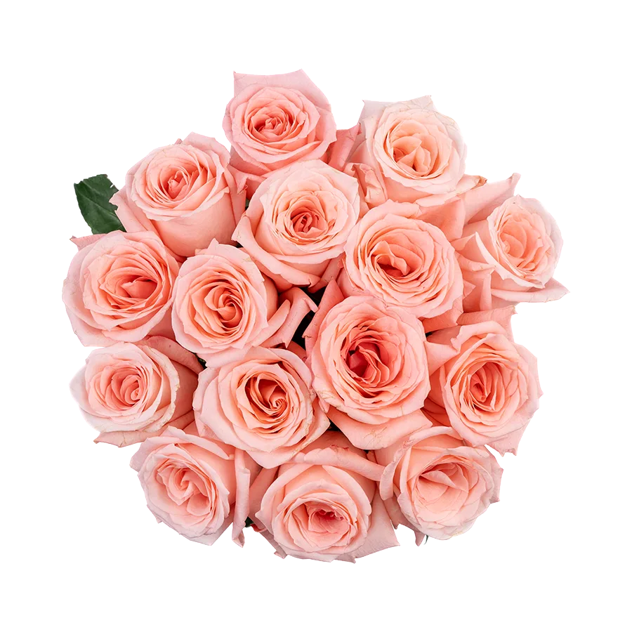 Букет из 15 светло-розовых роз Энгейджмент (03851)