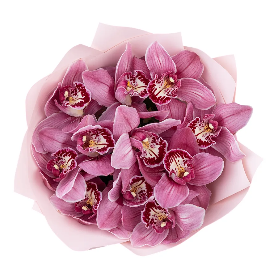Букет из 11 розовых орхидей Цимбидиум (03061)