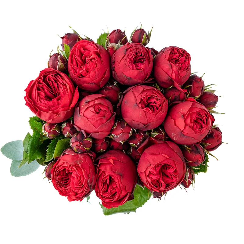 Букет из 9 красных пионовидных роз Пиано (01363)