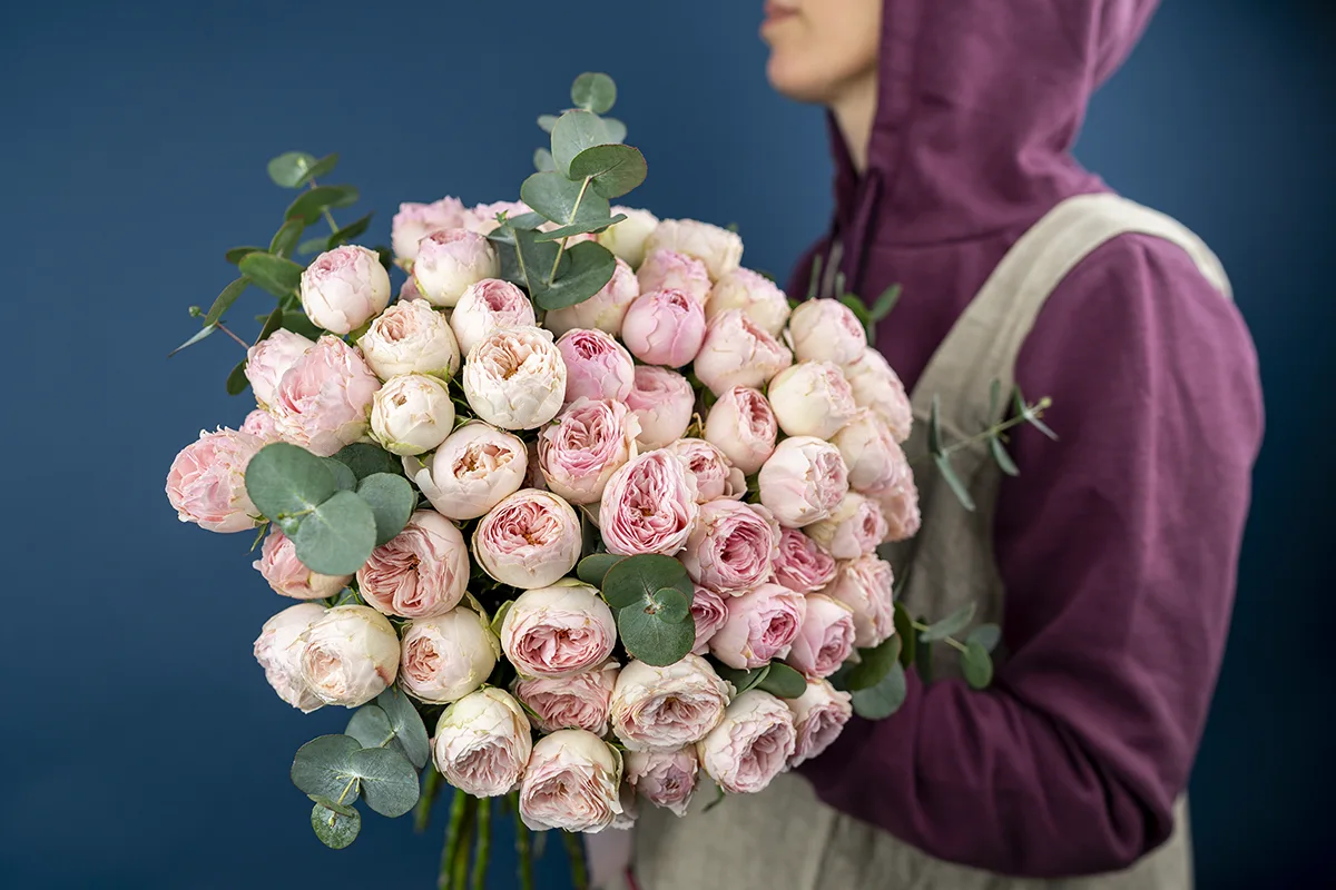 Букет из 19 нежно-розовых кустовых пионовидных роз Мансфилд Парк (01068)