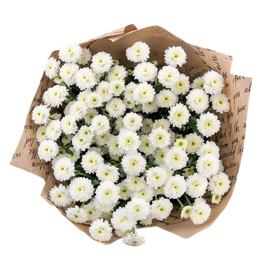Букет из 9 белых кустовых хризантем Сантини Калимеро Сноу (02692)