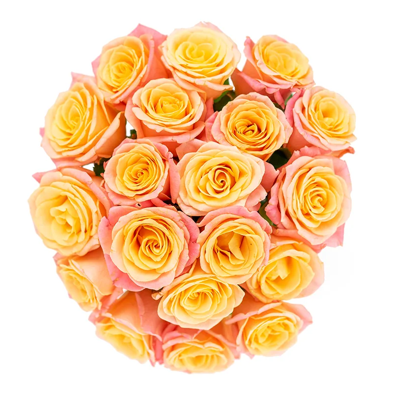 Букет из 19 нежных лососево-розовых роз Мисс Пигги (01133)