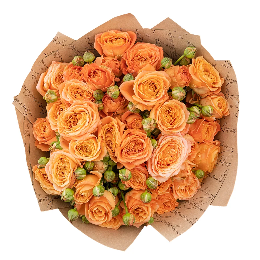 Букет из 11 абрикосовых кустовых пионовидных роз Априкот Лейс (02997)