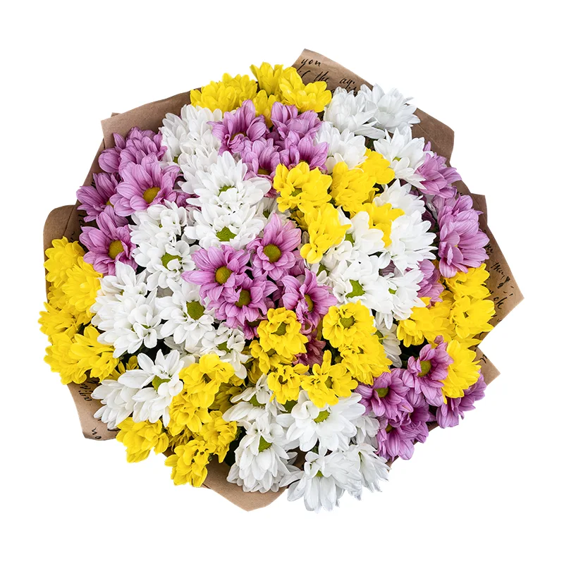 Букет из 17 розовых, белых и жёлтых кустовых хризантем (01808)