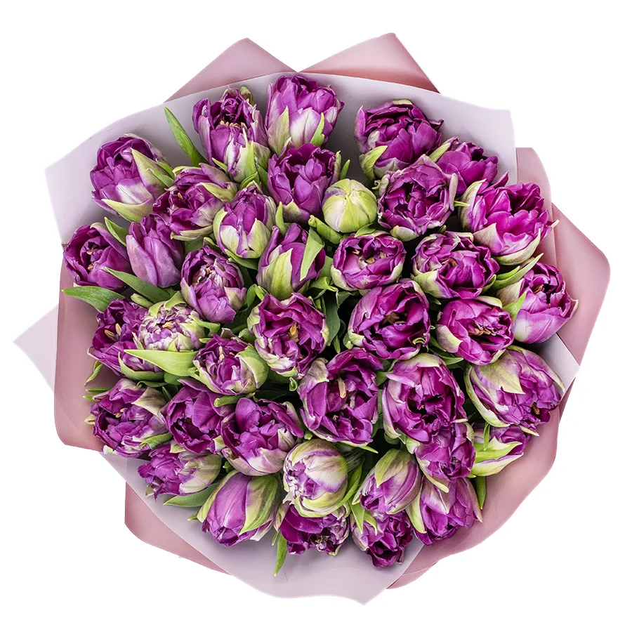 Букет из 39 фиолетовых пионовидных тюльпанов Пурпл Пеони (02315)