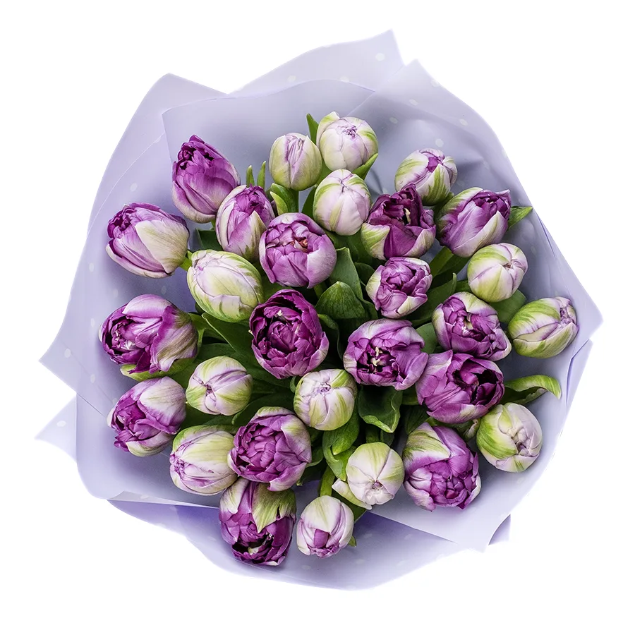 Букет из 29 фиолетовых махровых тюльпанов Сайгон (02388)