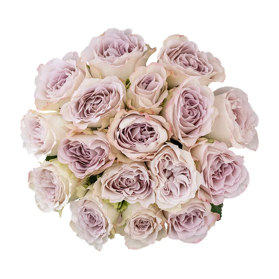 Букет из 17 серебристо-лавандовых роз Сильвер Мемори Лэйн (03075)