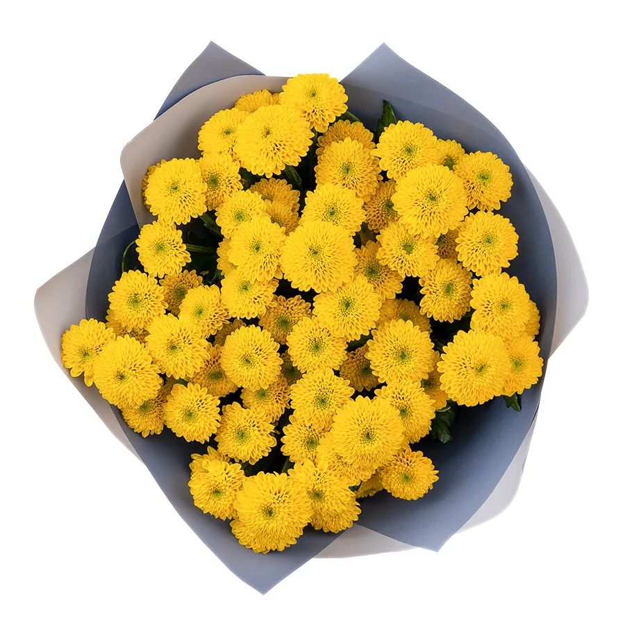 Букет из 9 желтых кустовых хризантем Сантини Ауринко (02677)