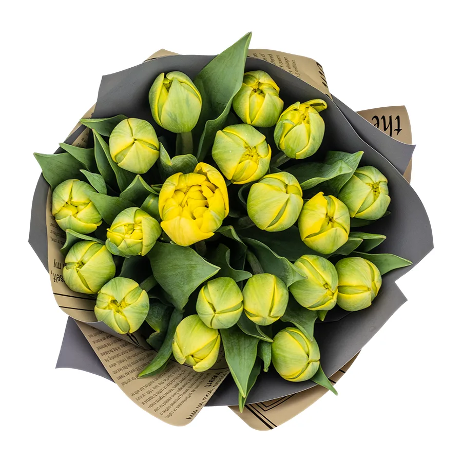 Букет из 19 желтых махровых тюльпанов Йелоу Помпонет (02447)