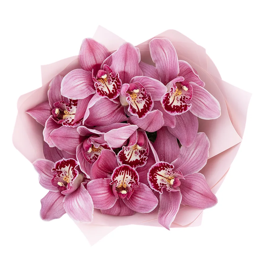 Букет из 9 розовых орхидей Цимбидиум (03062)