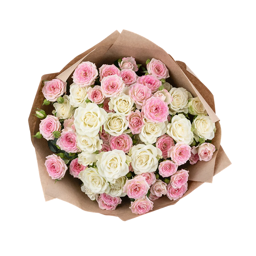 Букет из 9 розовых и белых кустовых роз (01522)