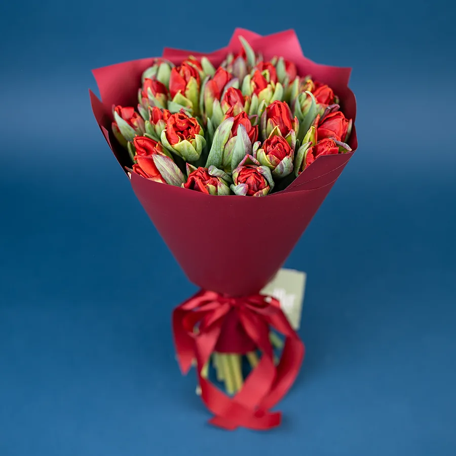 Букет из 25 красных густомахровых тюльпанов Рококо Дабл (02270)