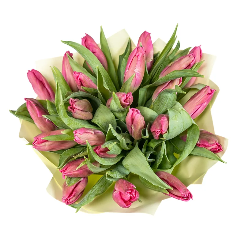 Букет из 23 розовых попугайных тюльпанов Марвел Пэррот (02067)