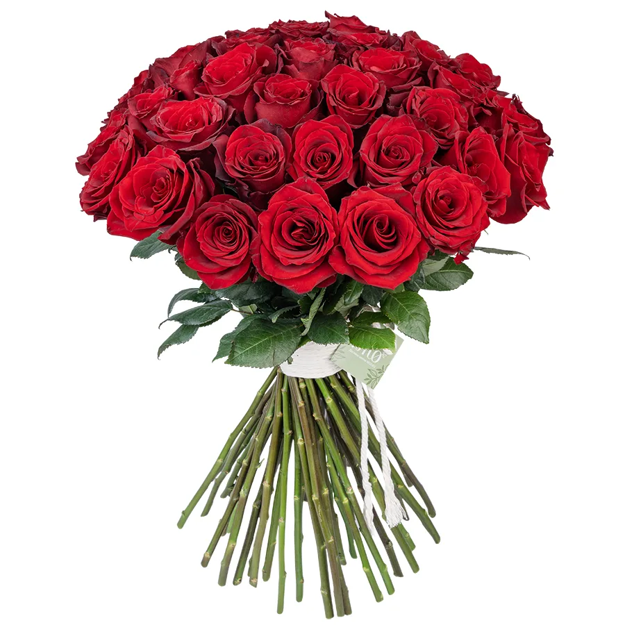 Букет из 45 тёмно-красных роз Эксплорер (02968)