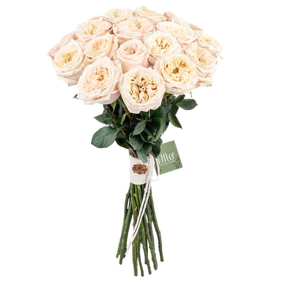Букет из 21 садовой кремовой розы Башфул (03843)