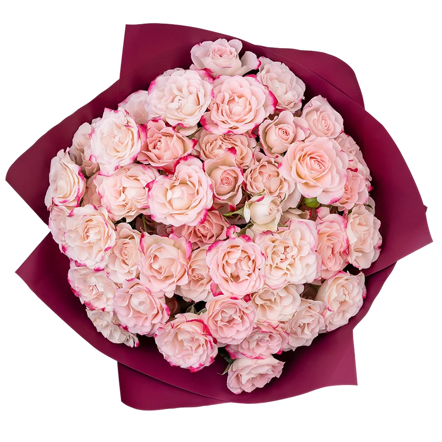 Букет из 13 кремовых с малиновыми краями кустовых роз Рефлекс (02626)