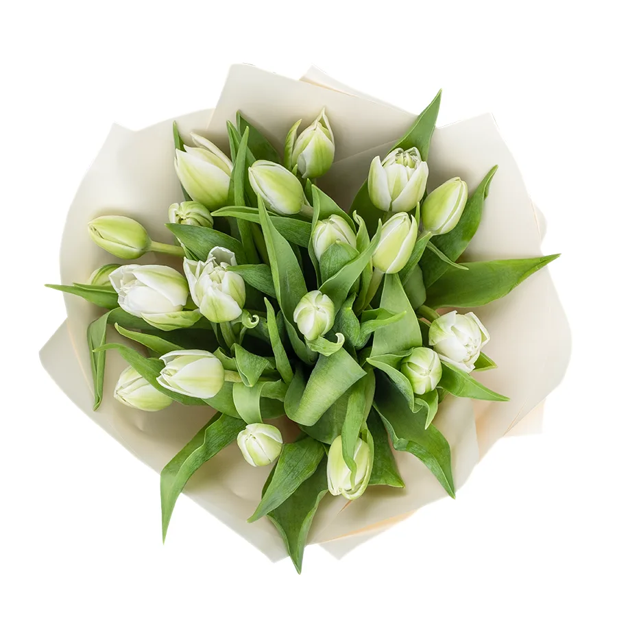 Букет из 19 белых махровых тюльпанов Вайт Херт (02464)