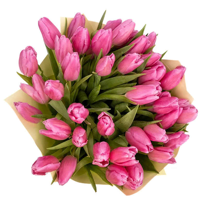 Букет из 45 розовых тюльпанов (01946)