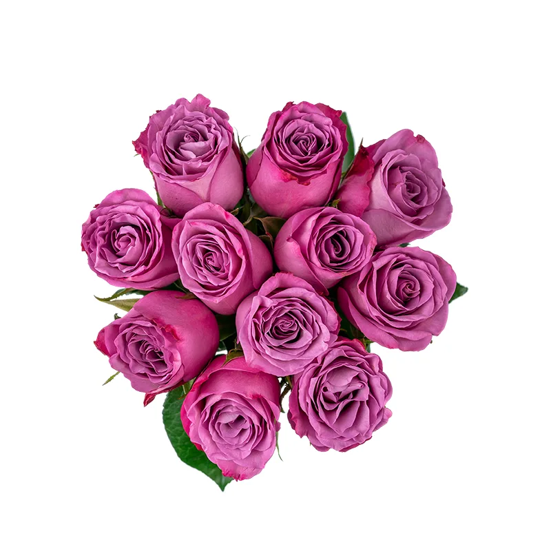 Букет из 11 фиолетовых роз Муди Блюз (01214)