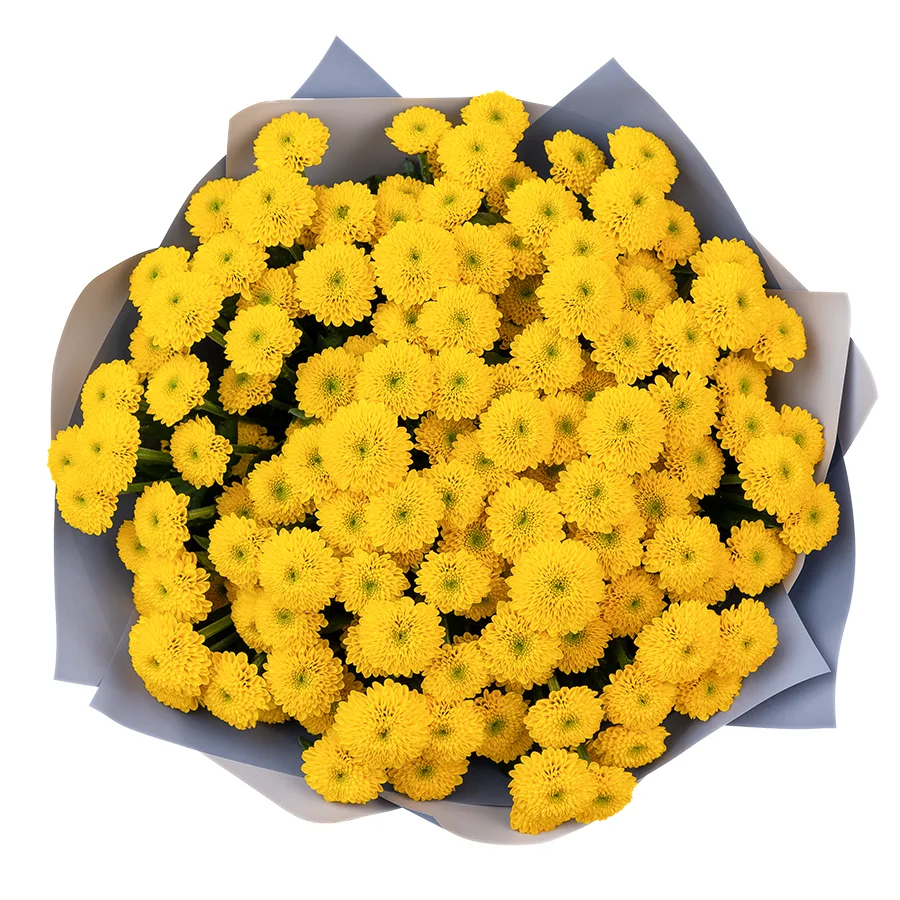 Букет из 19 желтых кустовых хризантем Сантини Ауринко (02672)