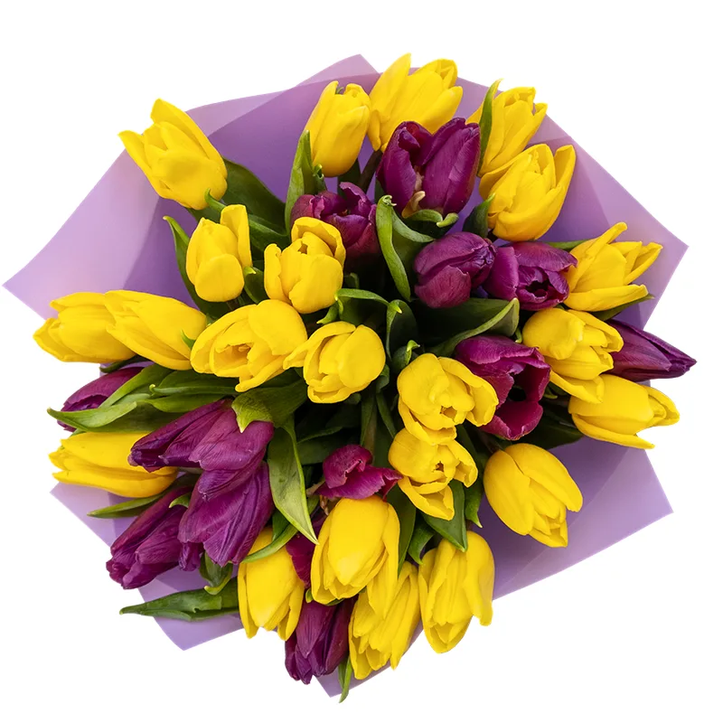 Букет из 33 желтых и фиолетовых тюльпанов (02047)