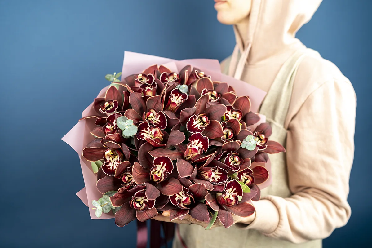 Букет из 25 тёмно-бордовых орхидей Цимбидиум Дарк Найт (01125)