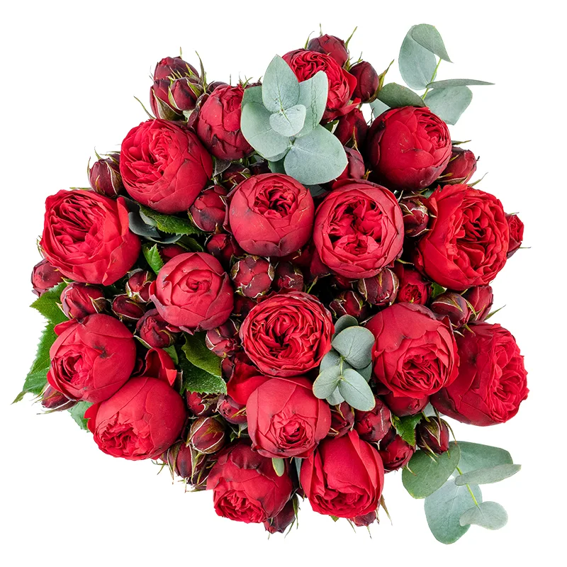 Букет из 17 красных пионовидных роз Пиано (01359)