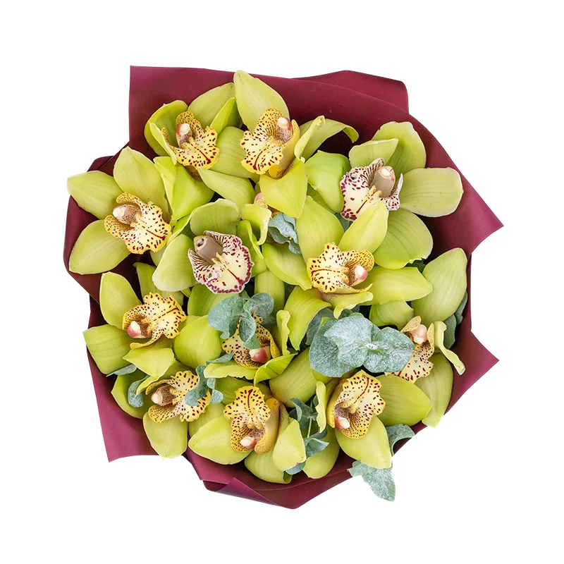 Букет из 13 зелёных орхидей Цимбидиум (01842)