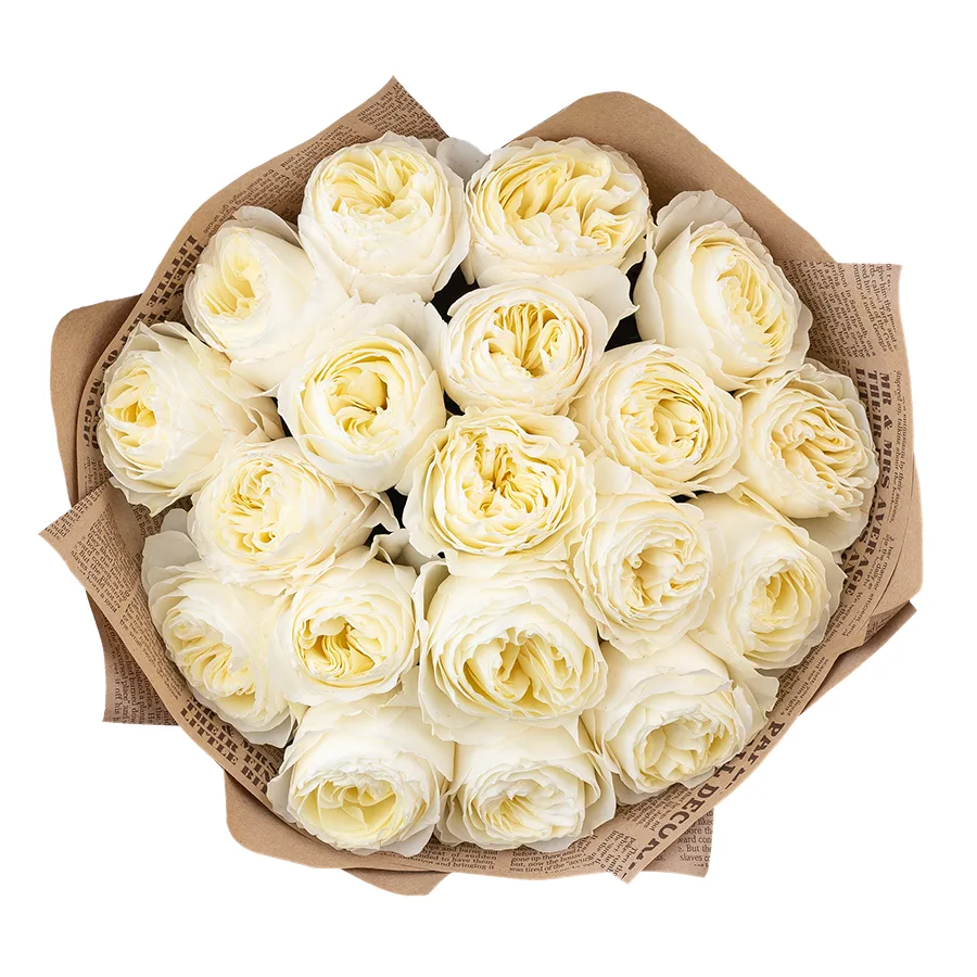 Букет из 19 бело-кремовых пионовидных роз Колдплей (02873)