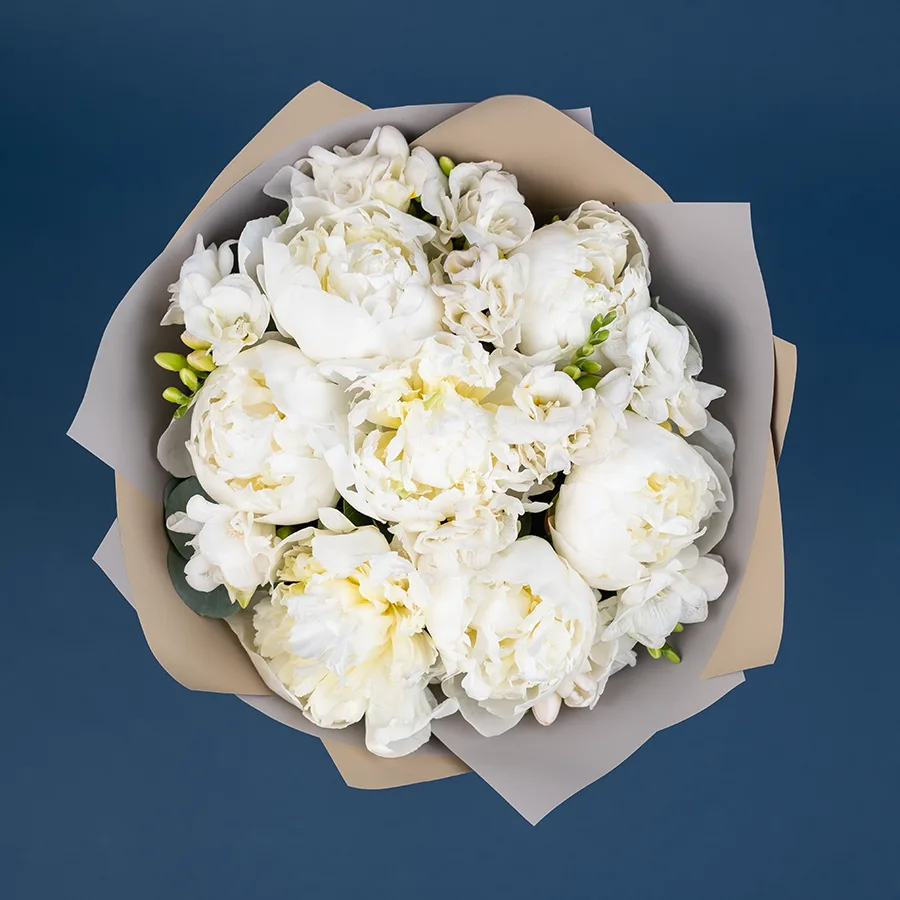 Букет из 17 цветов — ароматных белых пионов и фрезий (02530)