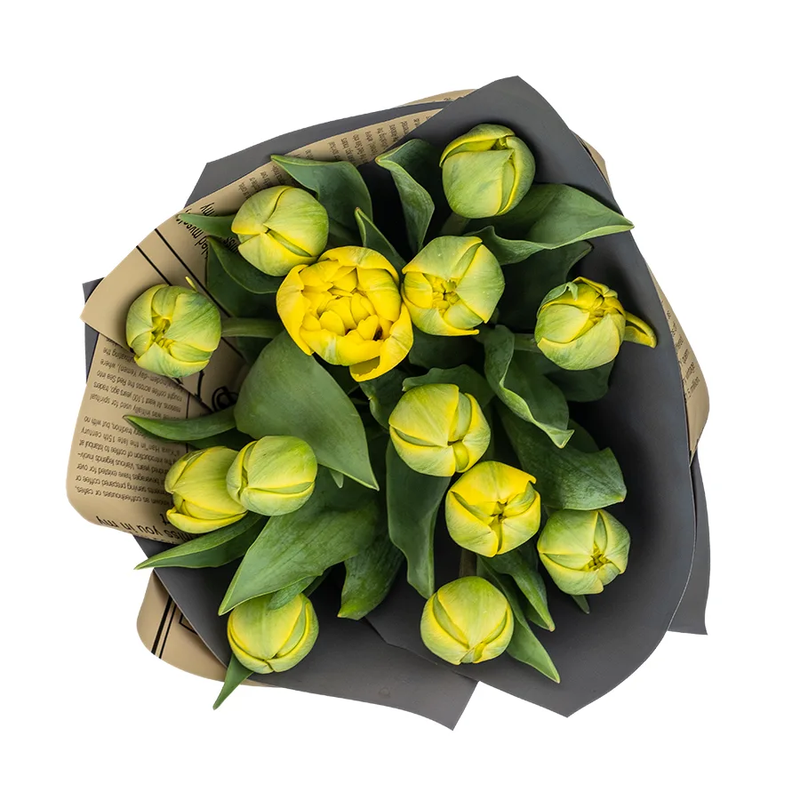 Букет из 13 желтых махровых тюльпанов Йелоу Помпонет (02450)