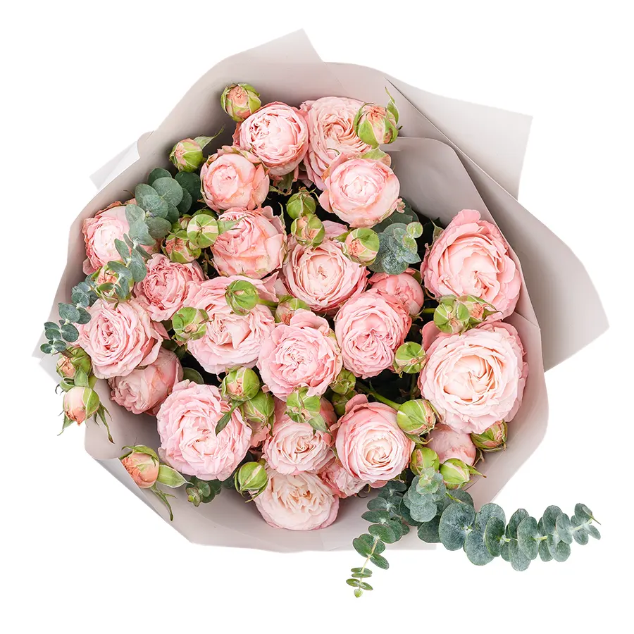 Букет из 5 розовых с темной каймой кустовых пионовидных роз Мадам Бомбастик (02957)