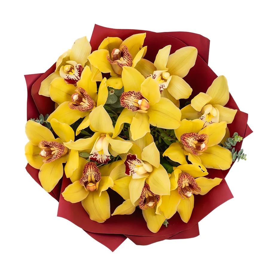 Букет из 13 желтых орхидей Цимбидиум (03070)