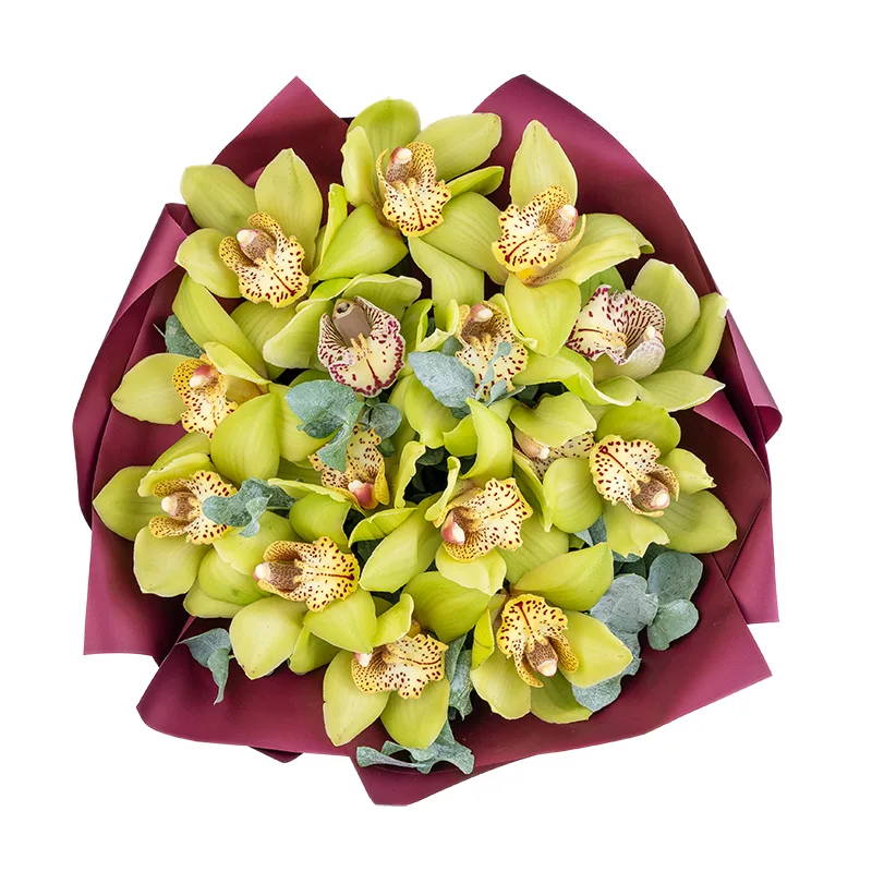 Букет из 15 зелёных орхидей Цимбидиум (01841)
