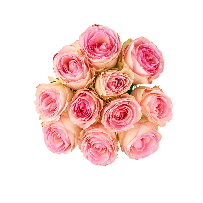 Букет из 11 розовых роз Эсперанс (01241)