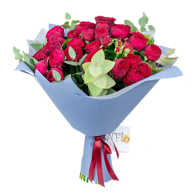 Букет из 19 бордовых кустовых пионовидных роз Марун (01305)