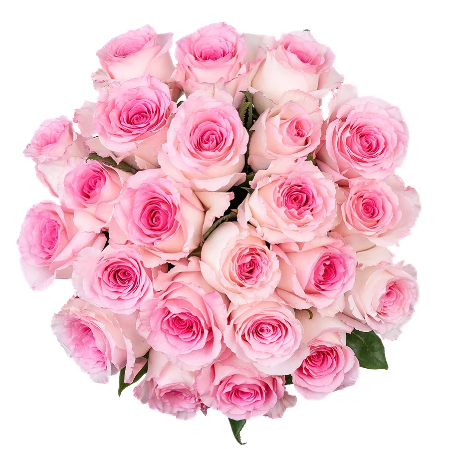 Букет из 23 бело-розовых роз Мандала (02660)