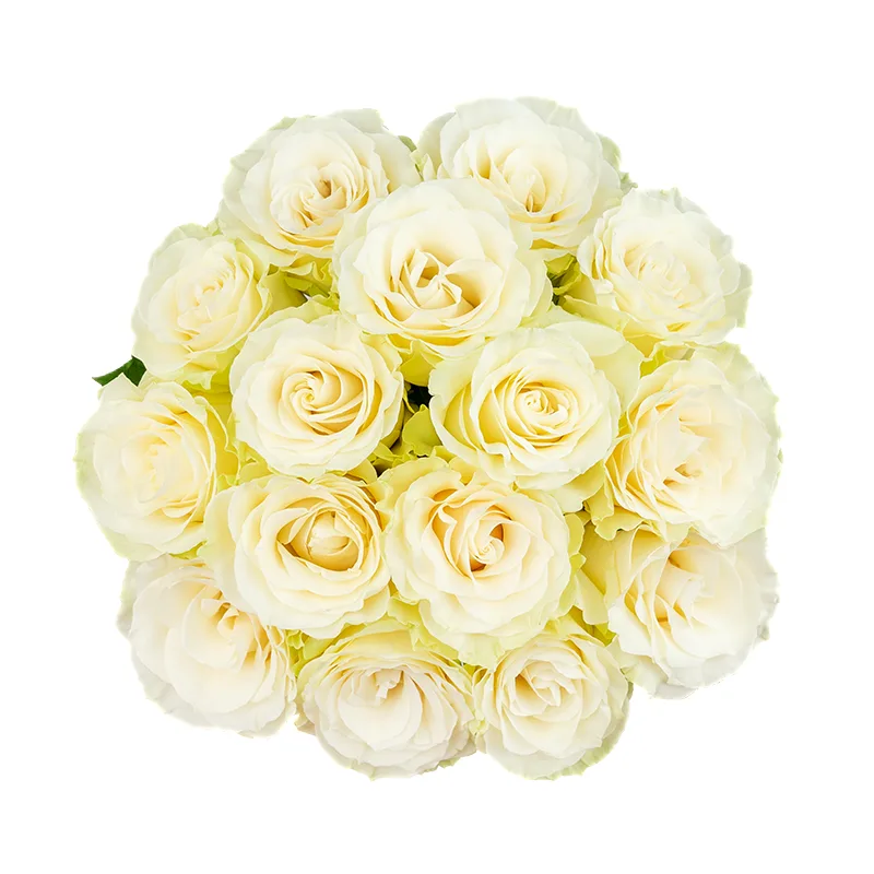 Букет из 15 белых роз Мондиаль (01602)