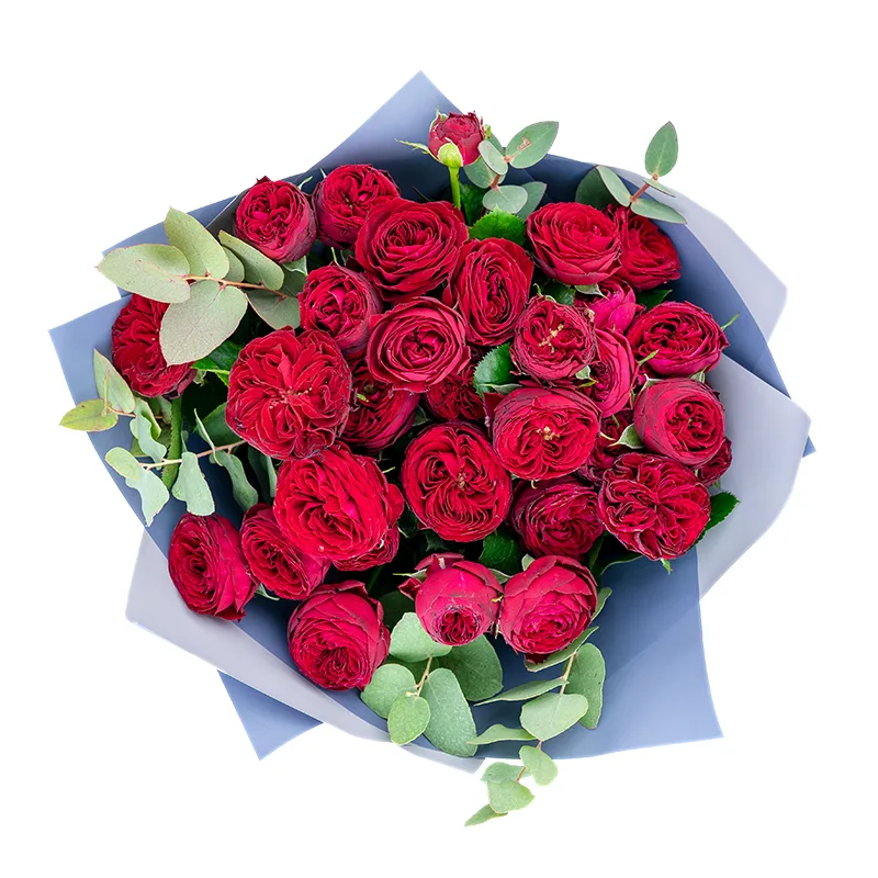 Букет из 13 бордовых кустовых пионовидных роз Марун (01308)