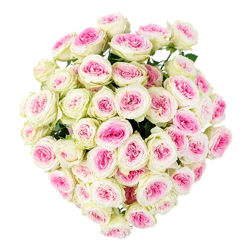 Букет из 11 розовых кустовых пионовидных роз Джелато (01172)