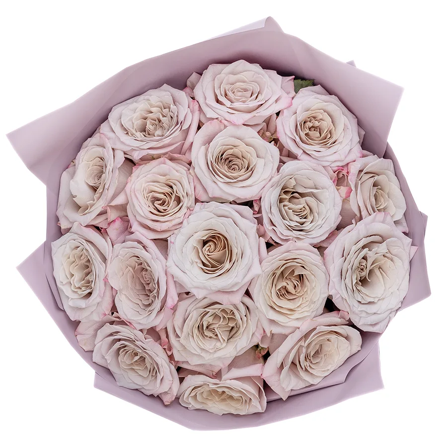 Букет из 17 серебристо-лавандовых садовых роз Мента (02563)