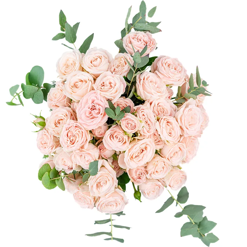 Букет из 11 розовых кустовых роз Бомбастик (01249)