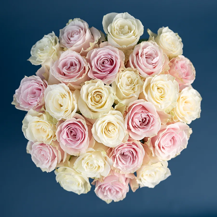 Букет из 25 белых и розовых роз Мондиаль и Пинк Мондиаль (02228)