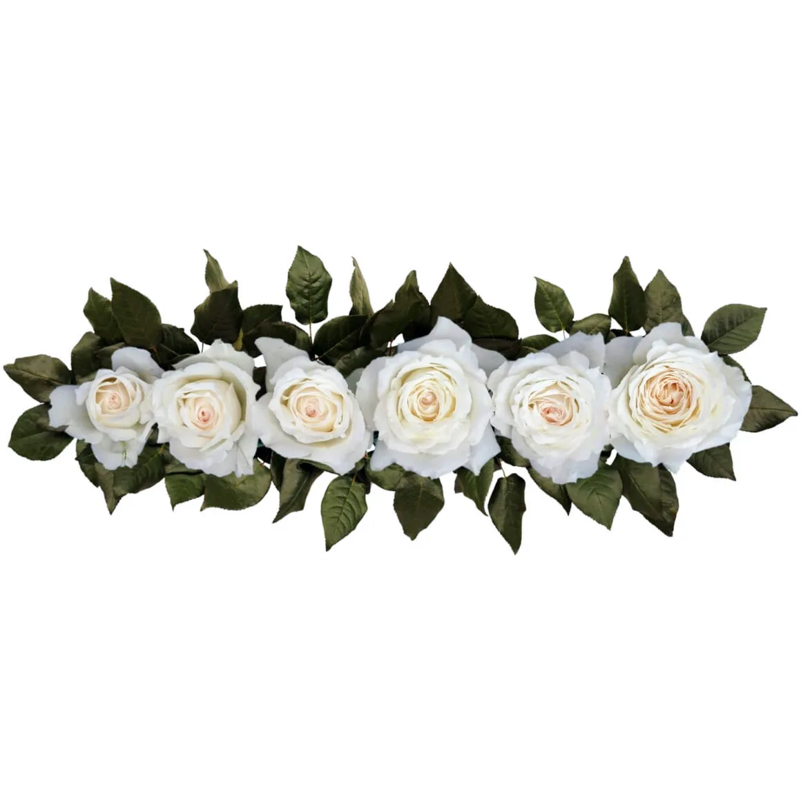 Роза садовая белая Принцесса Миюки (00249)