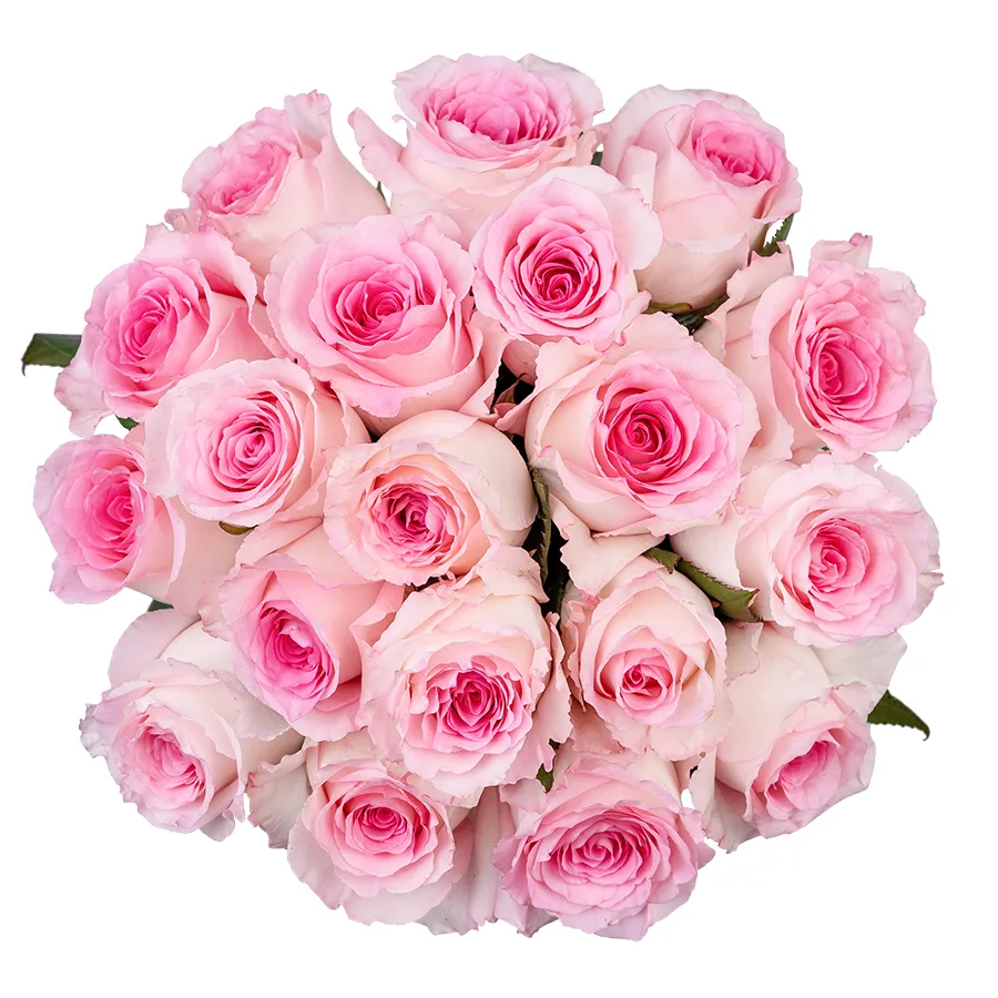 Букет из 19 бело-розовых роз Мандала (02662)