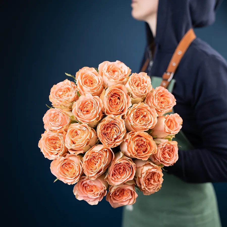 Букет из 21 кремово-персиковой пионовидной розы Кантри Хоум (03007)