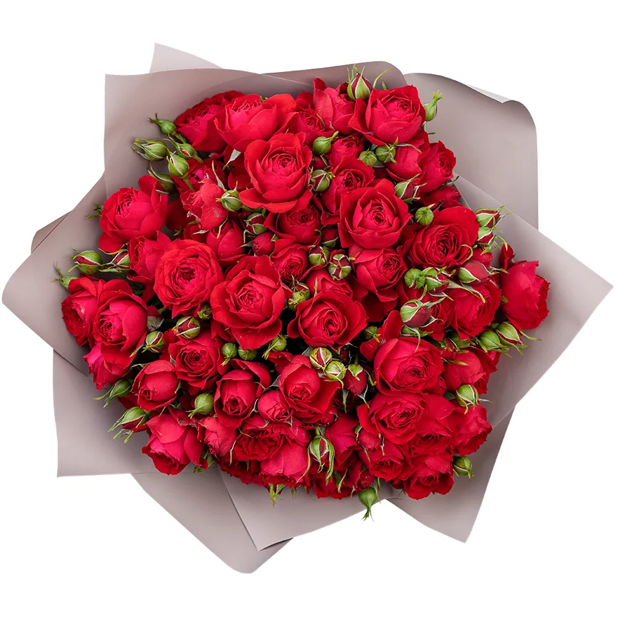 Букет из 11 ярко-красных кустовых пионовидных роз Скарлет Дименшн (02760)