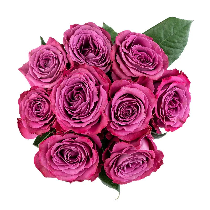 Букет из 9 фиолетовых садовых роз Прешиус Моментс (01826)