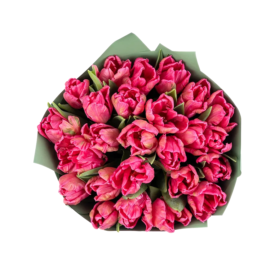 Букет из 25 розовых попугайных тюльпанов Марвел Пэррот (02066)