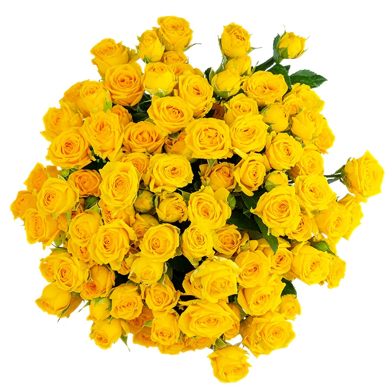 Букет из 21 жёлтой кустовой розы Йелоу Бейб (01496)